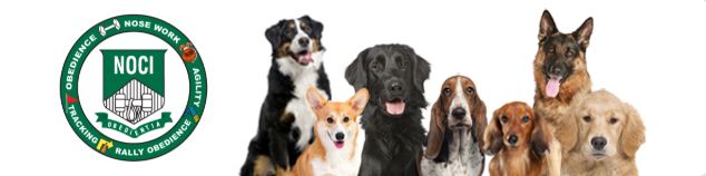 ihrdu Rue's Training Blog